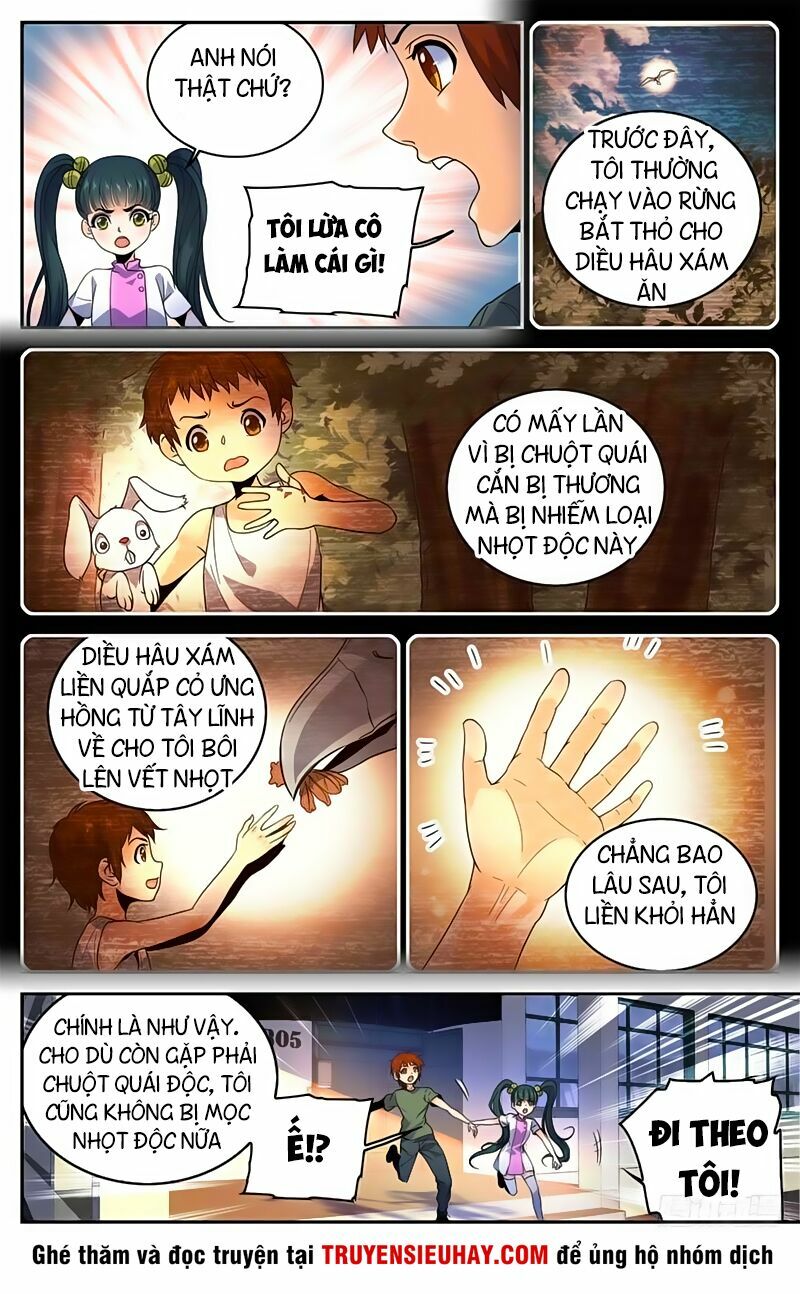 Toàn Chức Pháp Sư Chapter 279 - Page 12