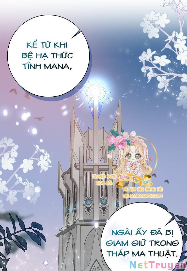 Vị Bạo Chúa Của Tôi Sao Lại Hóa Trẻ Rồi Chapter 12 - Page 12