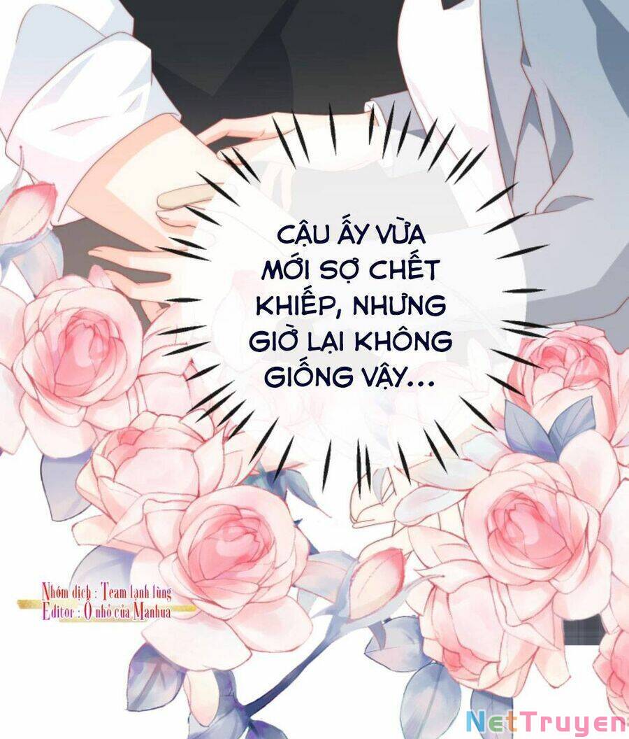 Trọng Sinh Trở Lại Làm Vợ Tổng Tài Chapter 33 - Page 21