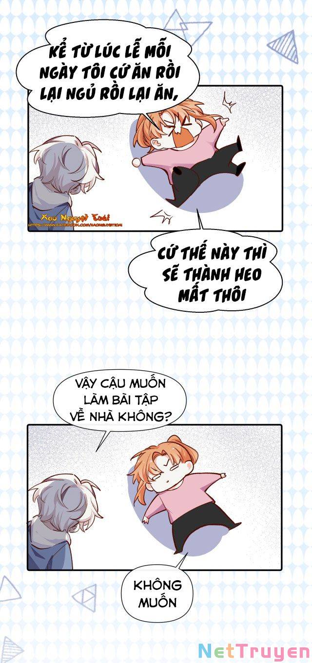 Mười Năm Sau, Tôi Kết Hôn Với Kẻ Không Đội Trời Chung Của Mình?! Chapter 33 - Page 3