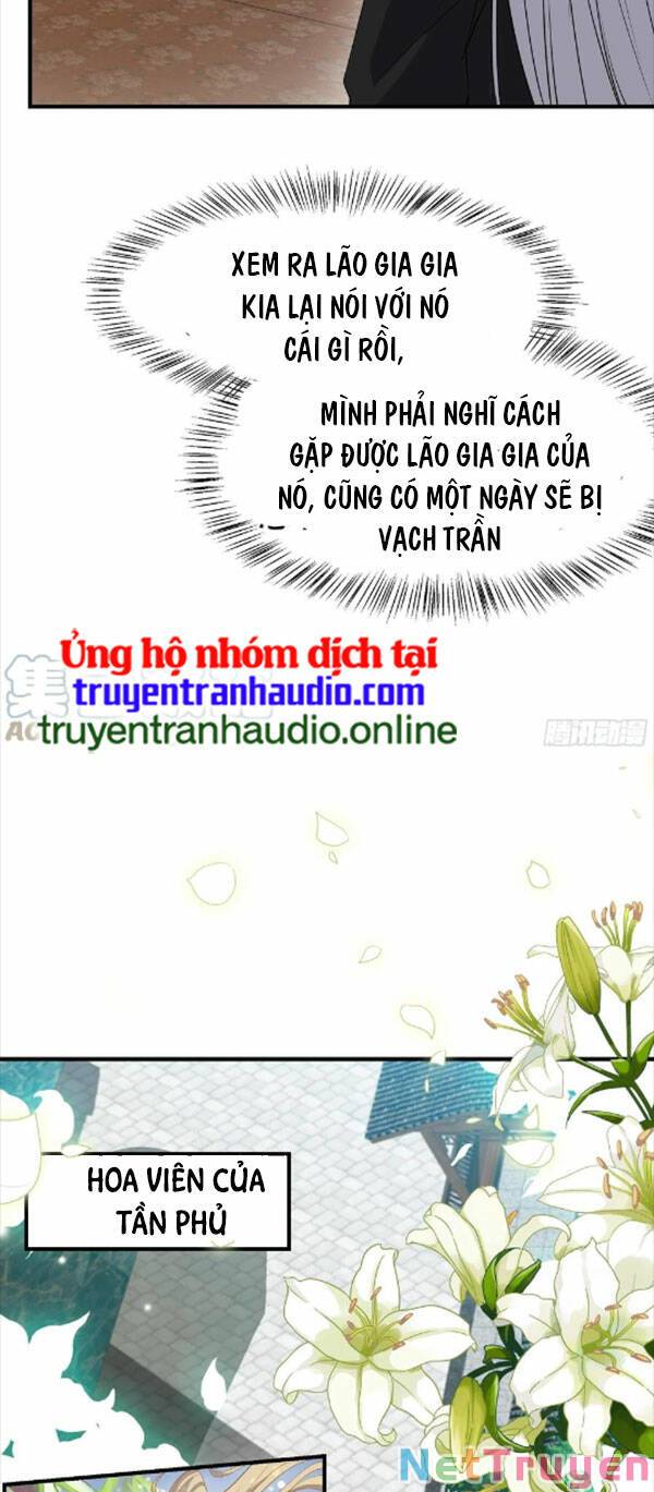 Hệ Thống Gánh Con Mạnh Nhất Chapter 19 - Page 29