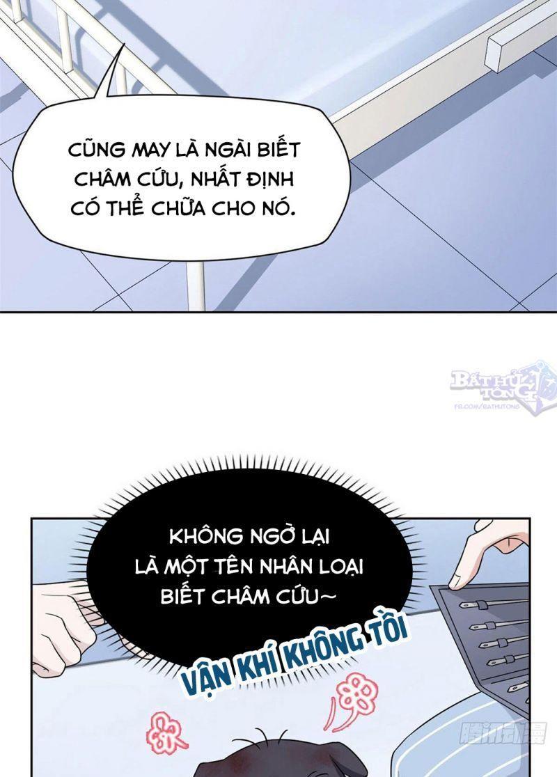 Cường Giả Đến Từ Trại Tâm Thần Chapter 21 - Page 31