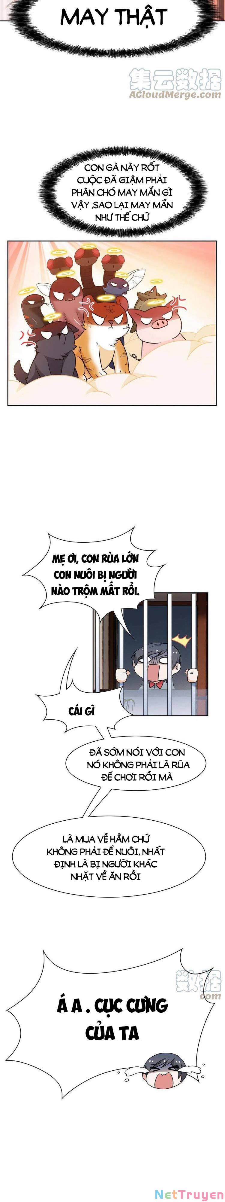 Cường Giả Đến Từ Trại Tâm Thần Chapter 85 - Page 13