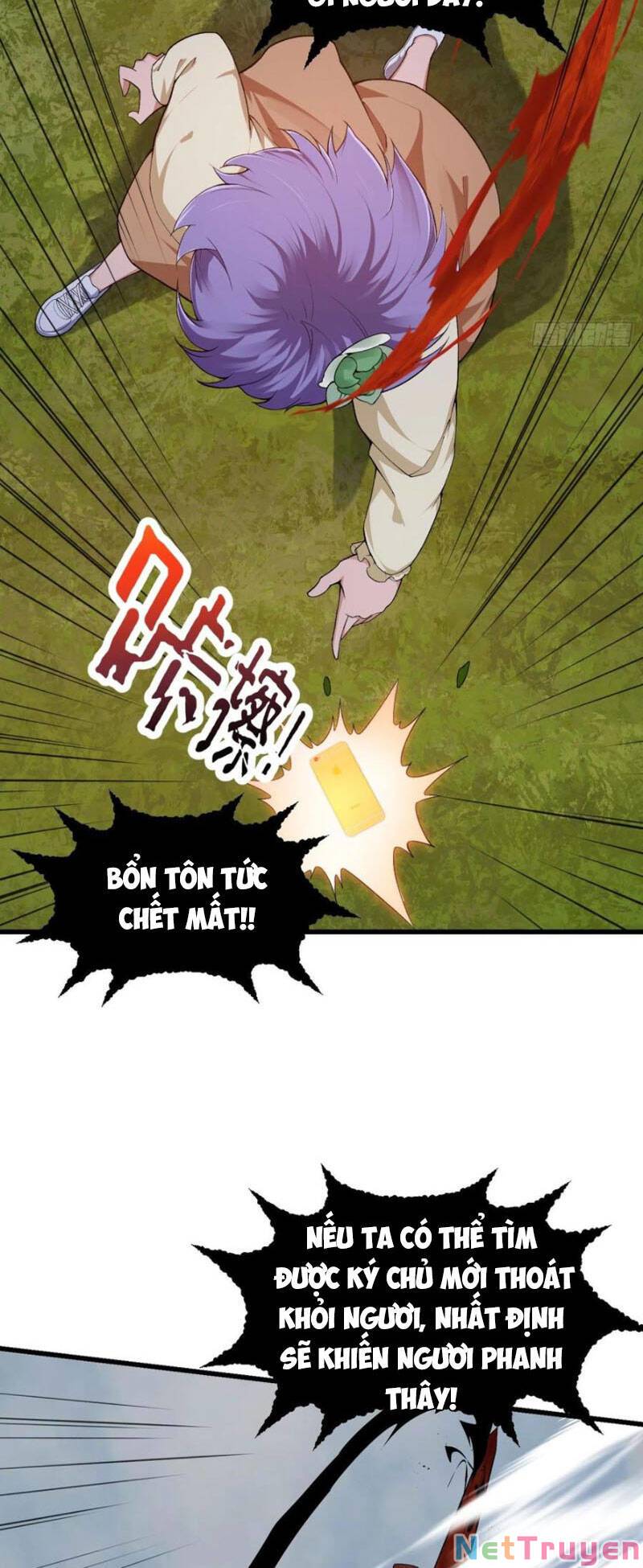 Ta Chẳng Qua Là Một Đại La Kim Tiên Chapter 213 - Page 5