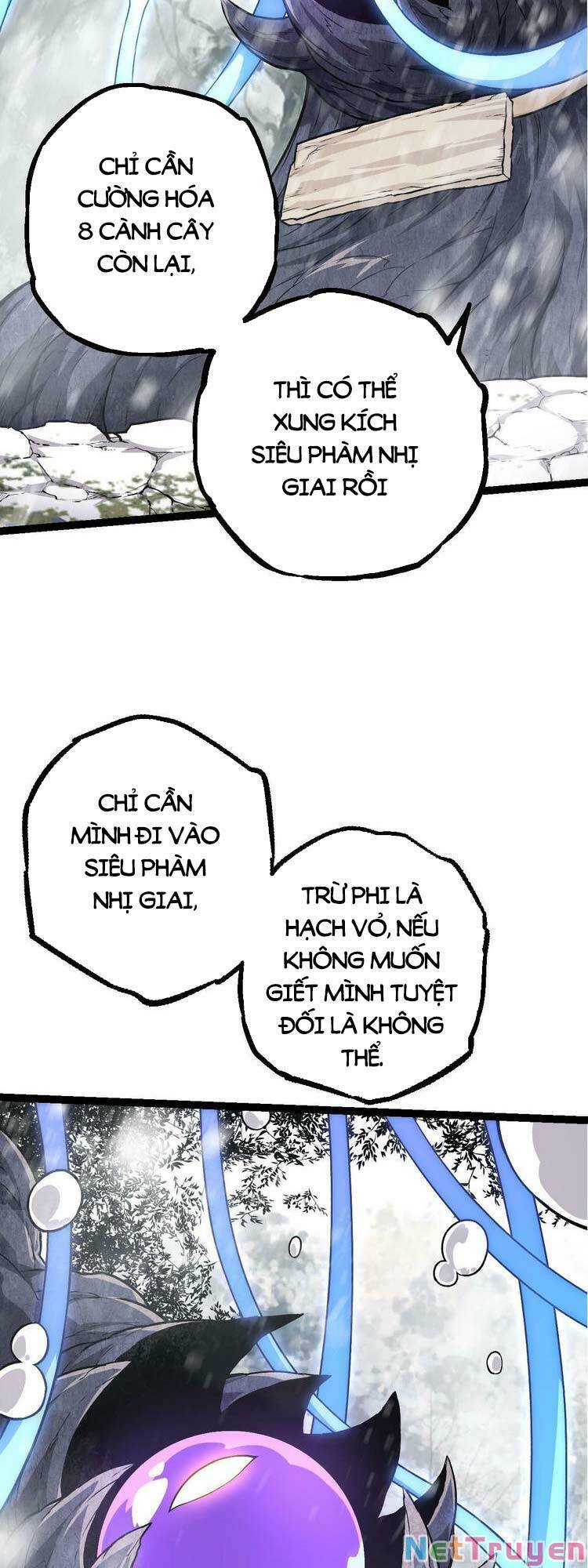 Chuyển Sinh Thành Liễu Đột Biến Chapter 23 - Page 8