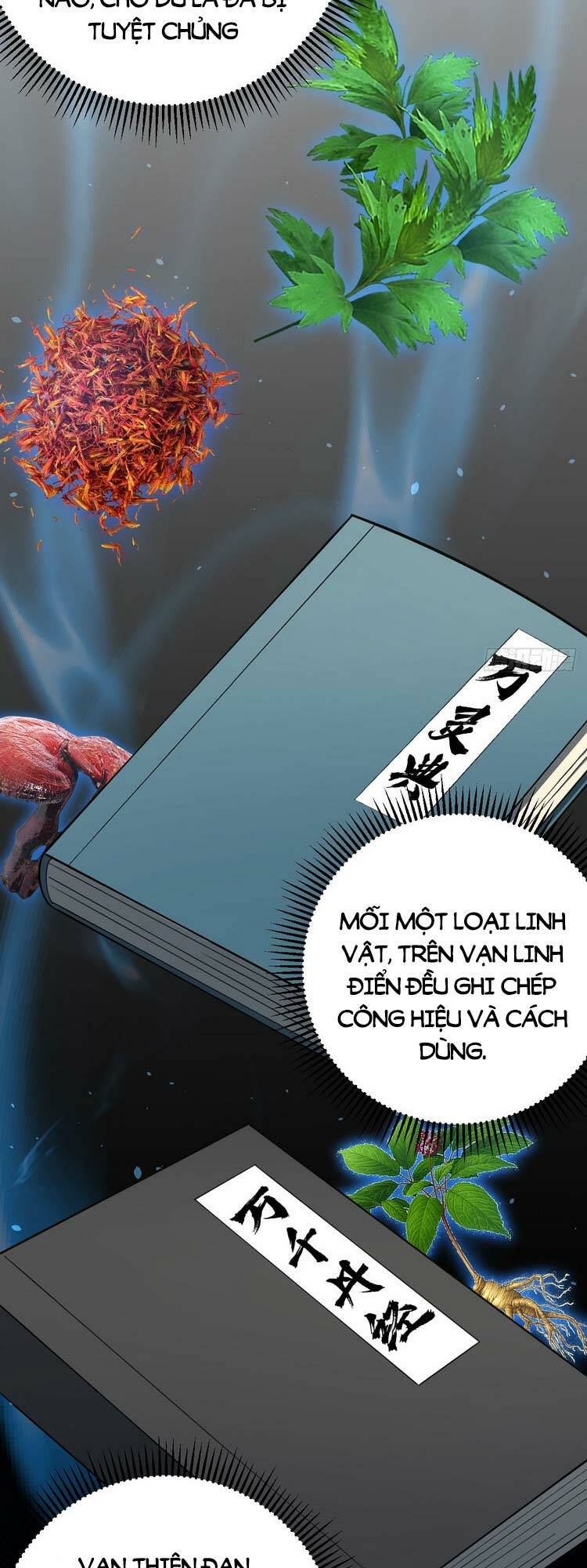 Ta ở nhà 100 năm khi ra ngoài đã vô địch Chapter 30 - Page 26