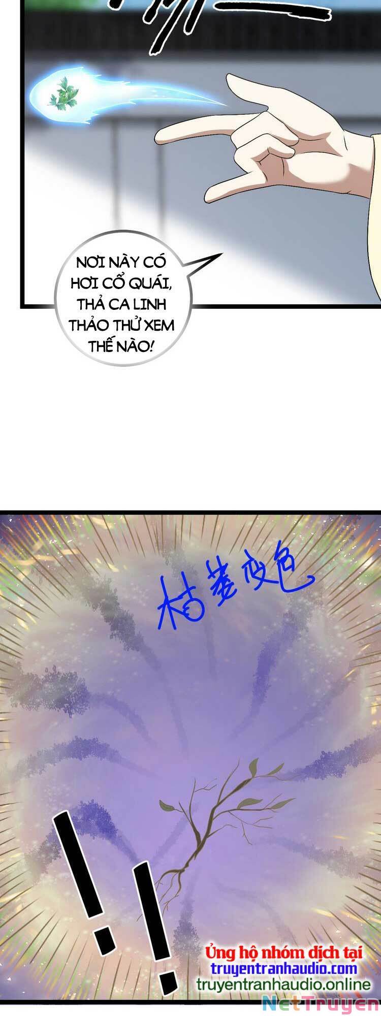 Ta ở nhà 100 năm khi ra ngoài đã vô địch Chapter 46 - Page 16