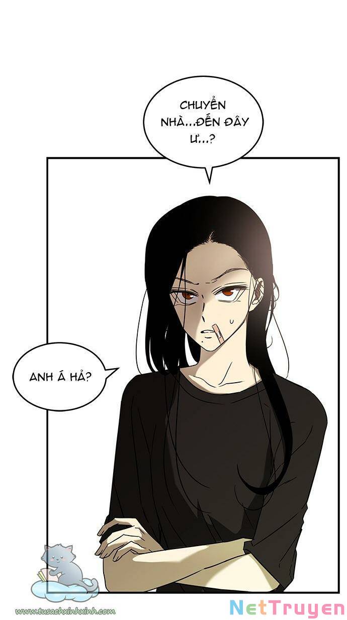 Cạm Bẫy Chapter 60 - Page 3