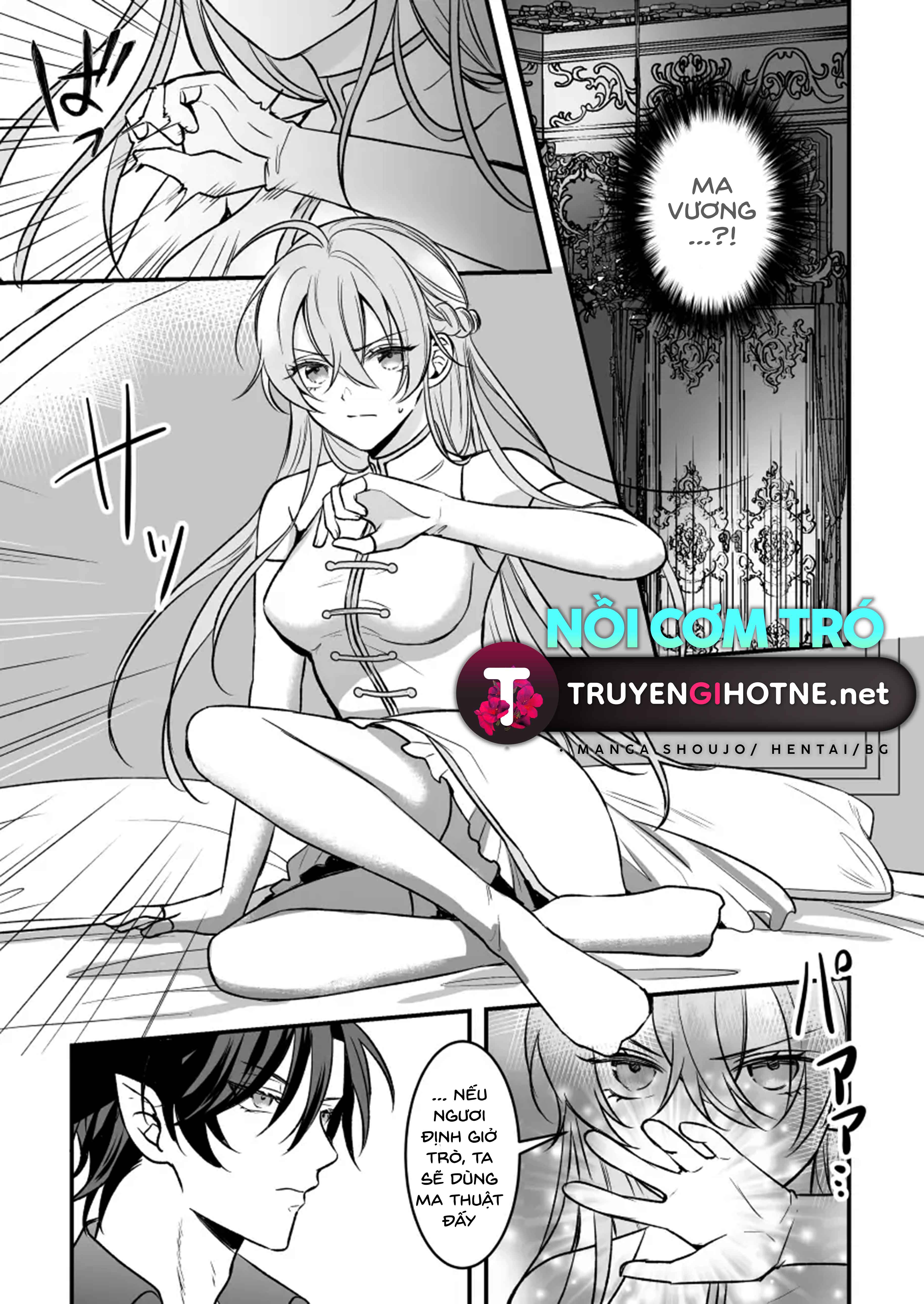 Nữ Anh Hùng Bị Ma Vương Cướp Đi Lần Đầu Chapter 2 - Page 9